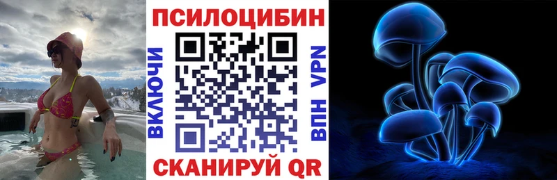Псилоцибиновые грибы Psilocybine cubensis  где купить наркоту  Очёр 